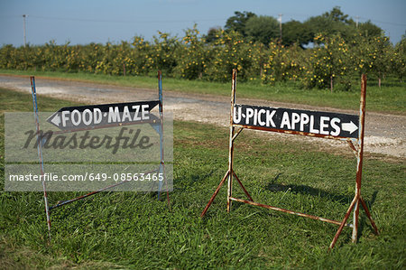 Signs on pick your own farm