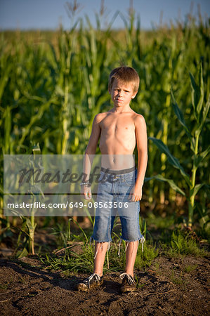 Boy in a corn field