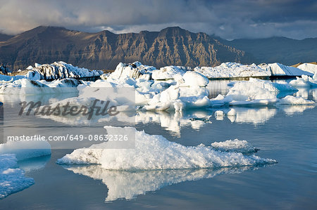 Icebergs floating in glacial waters