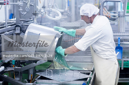Male worker working in organic tofu production factory