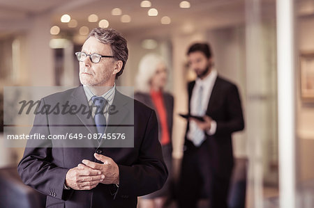 Senior businessman at meeting