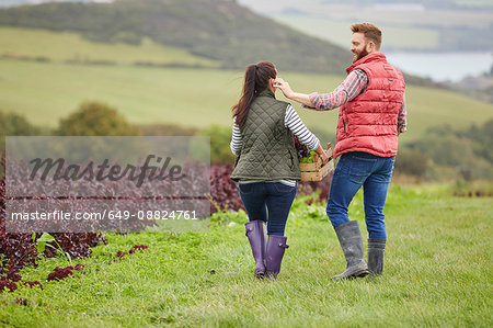 Rear view of couple on farm harvesting lettuce