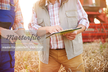 Cropped view of farmers in wheat field looking at clipboard