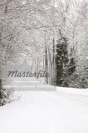 Snow landscape, Tammela, Forssa, Finland