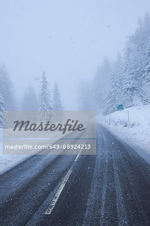 Rural forest road in falling snow, Gstaad, Switzerland