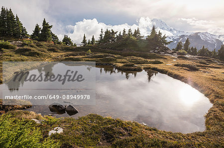 Pond on Mount Baker, Washington, USA