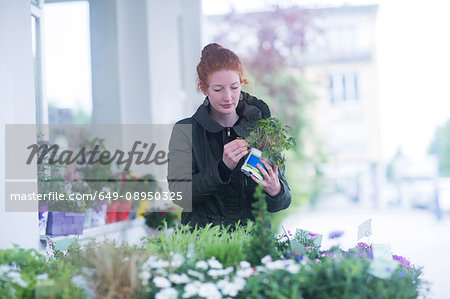 Florist working with potted plants