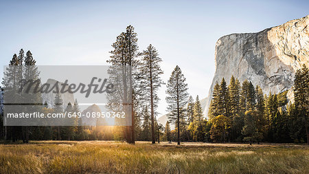 Meadow and rock formations at sunset, Yosemite National Park, California, USA