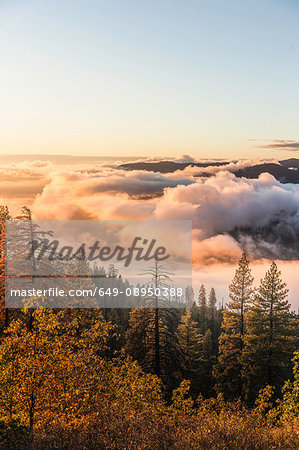 Elevated view of mist over valley forest at sunrise, Yosemite National Park, California, USA