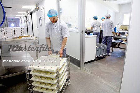 Cheese maker packing cheeses to send off to suppliers
