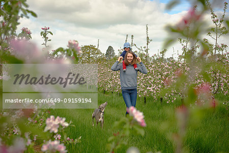 Female toddler getting shoulder carry from her mother in blossoming orchard, portrait