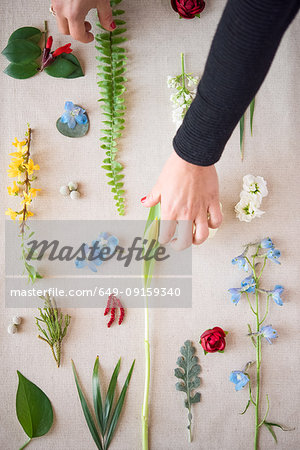 Woman arranging flower heads and leaf stems on textile, detail of hands, overhead view