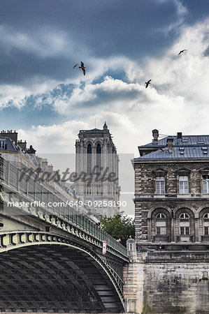 Scenic view of Ile de la Cite and Notre Dame Cathedral, Paris, France
