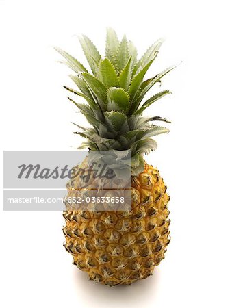 Pineapple