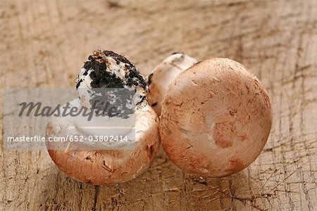 Button mushrooms