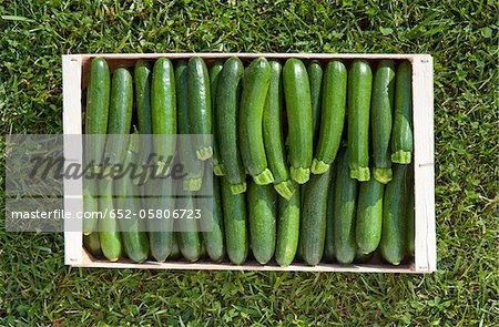 Crate of zucchinis