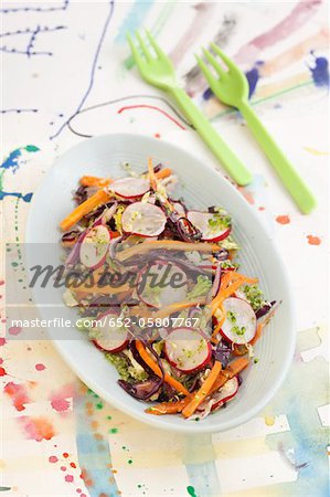 Red cabbage,carrot and radish salad with sesame seeds