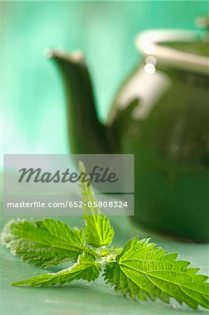 Nettle infusion