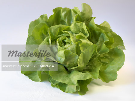 Whole lettuce