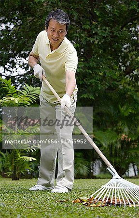 Man in garden, raking leaves