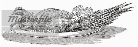 Pheasant on silver platter (illustration)