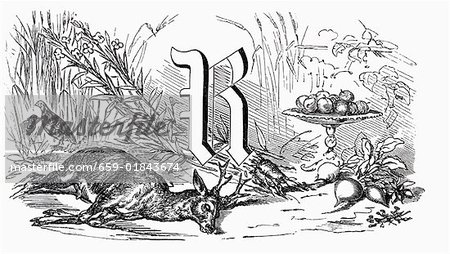 Still life with letter R, roe & root vegetables (illustration)