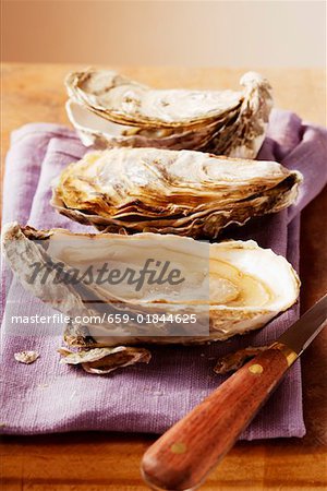 Fresh oysters on purple cloth