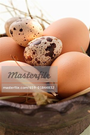 Brown hen’s eggs and quail’s eggs in wooden bowl with straw