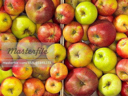 Different types of apples in two crates (overhead view)