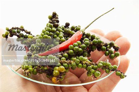 Hand holding glass plate with green pepper and chili pepper
