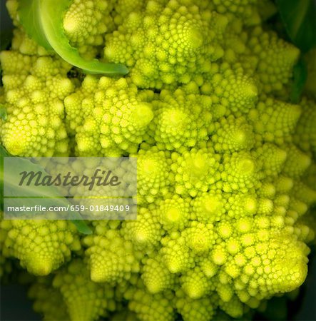 A head of romanesco (close-up)