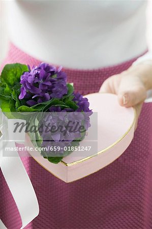 Bunch of violets with heart-shaped gift box