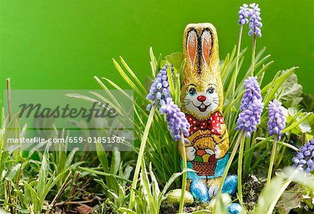 Grape hyacinths with chocolate Easter Bunny & chocolate eggs