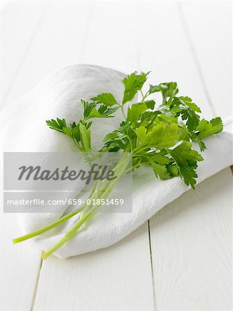 Flat leaf parsley on white cloth