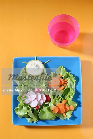 Vegetables for children: lettuce, radishes and carrots