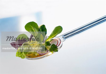 Assorted salad leaves on a salad server