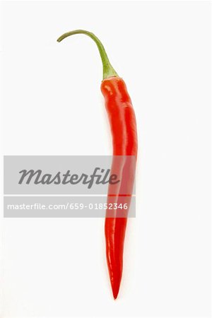 A Single Red Chili Pepper