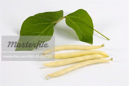 Four wax beans