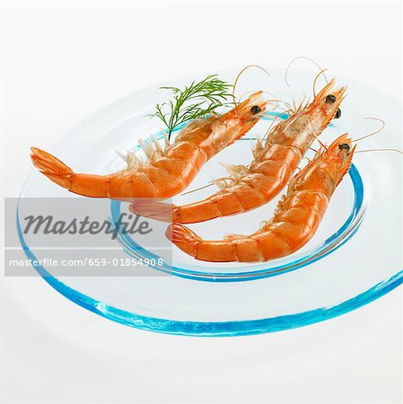 Three shrimps on a glass plate