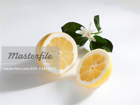 Halved lemon with leaves and blossom