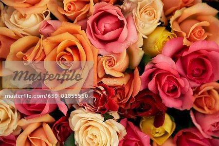 Colourful roses on a market stall