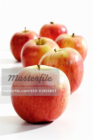 Six 'Gala' apples