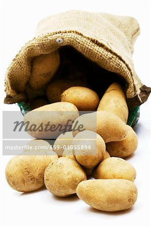 A sack of potatoes, variety 'Cilena'