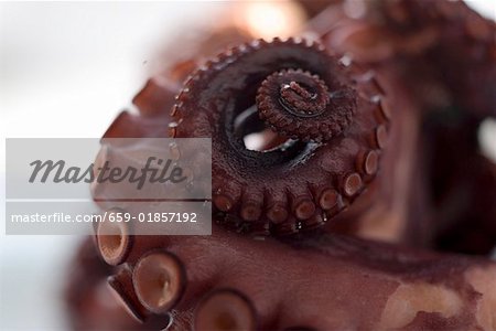 Smoked octopus