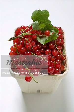Redcurrants with twig in cardboard punnet Redcurrants with twig in cardboard punnet