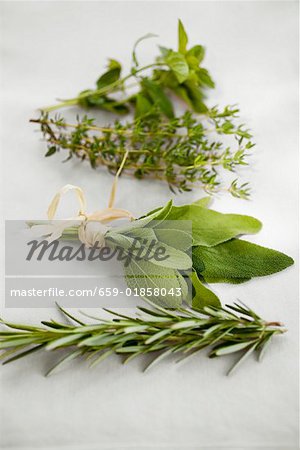 Fresh rosemary, sage, thyme and oregano Fresh rosemary, sage, thyme and oregano