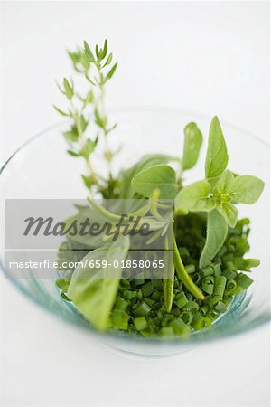 Assorted herbs in glass bowl Assorted herbs in glass bowl