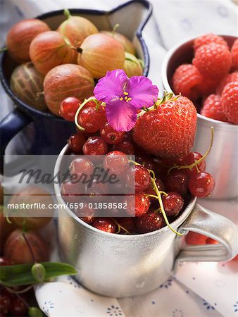 Still life with assorted berries in cups