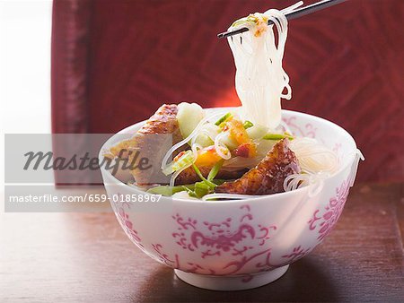 Glass noodles with roast duck breast and vegetables (Asia)