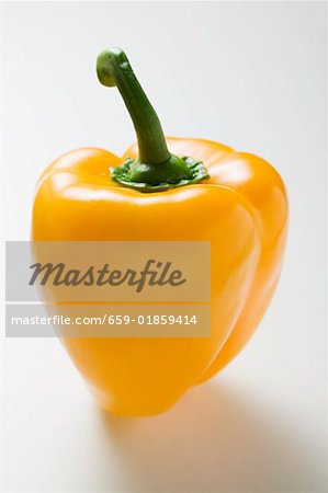 Yellow pepper